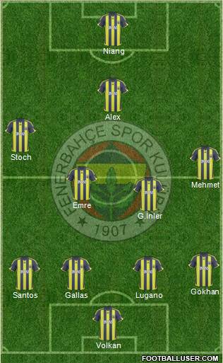 Fenerbahçe SK Formation 2010