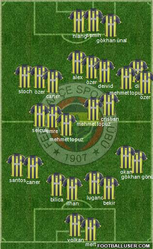 Fenerbahçe SK Formation 2010