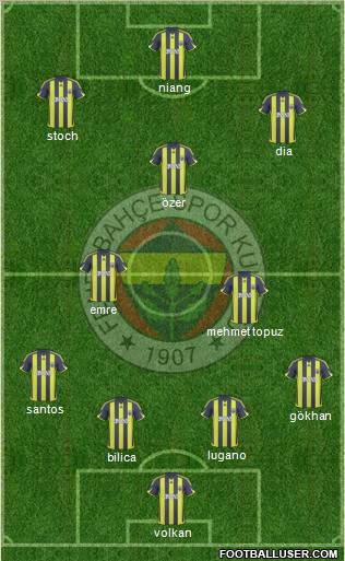 Fenerbahçe SK Formation 2010