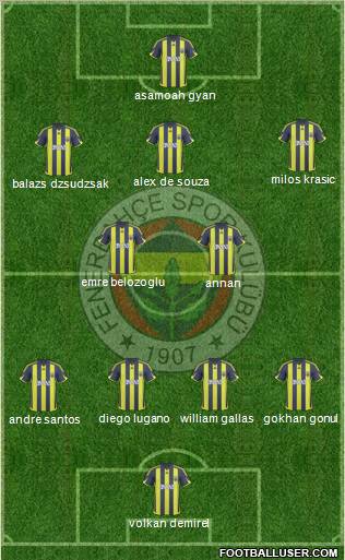 Fenerbahçe SK Formation 2010