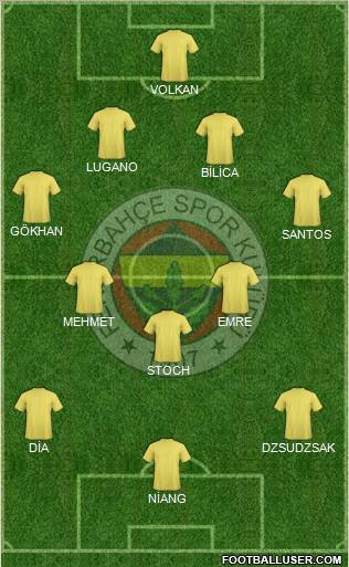 Fenerbahçe SK Formation 2010