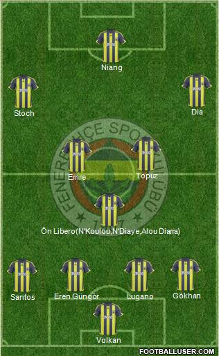 Fenerbahçe SK Formation 2010