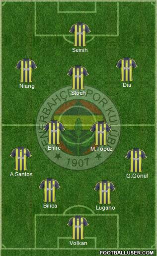Fenerbahçe SK Formation 2010
