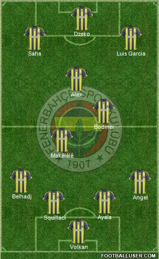 Fenerbahçe SK Formation 2010