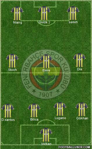 Fenerbahçe SK Formation 2010