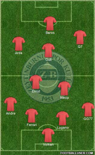 Zeytinburnuspor Formation 2010