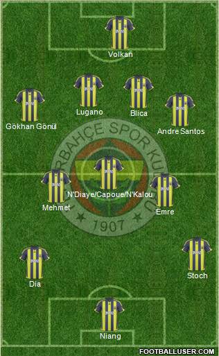 Fenerbahçe SK Formation 2010