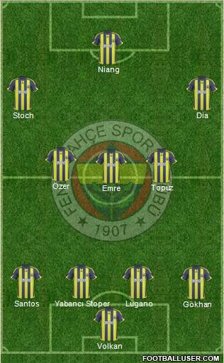 Fenerbahçe SK Formation 2010