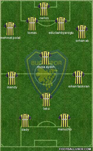 Bucaspor Formation 2010