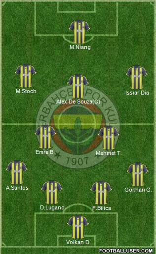 Fenerbahçe SK Formation 2010
