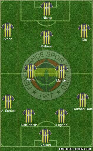 Fenerbahçe SK Formation 2010