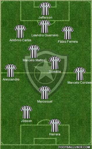 Botafogo FR Formation 2010