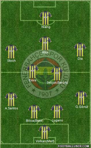 Fenerbahçe SK Formation 2010