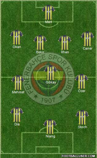 Fenerbahçe SK Formation 2010