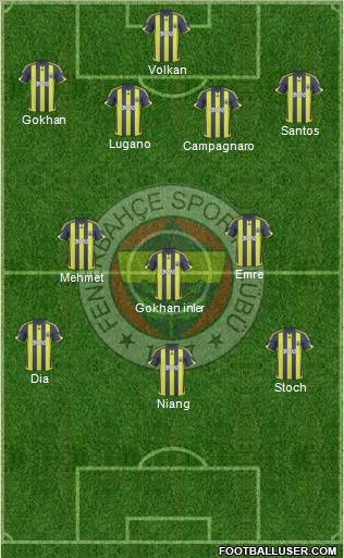Fenerbahçe SK Formation 2010