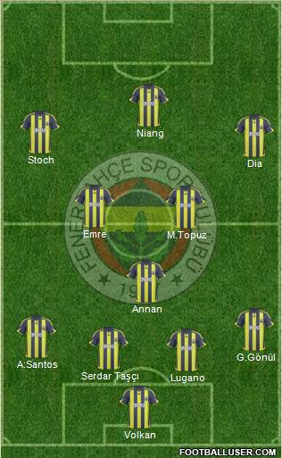 Fenerbahçe SK Formation 2010
