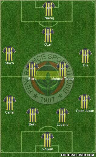 Fenerbahçe SK Formation 2010