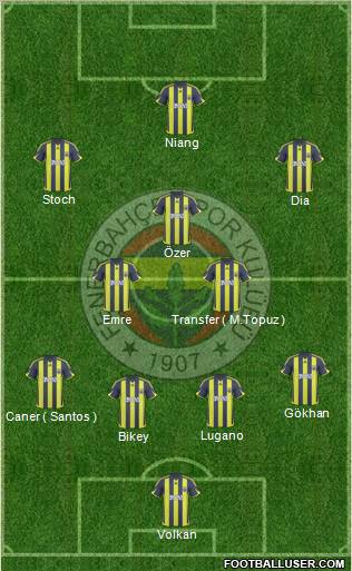 Fenerbahçe SK Formation 2010