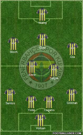 Fenerbahçe SK Formation 2010