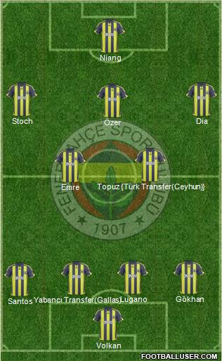 Fenerbahçe SK Formation 2010