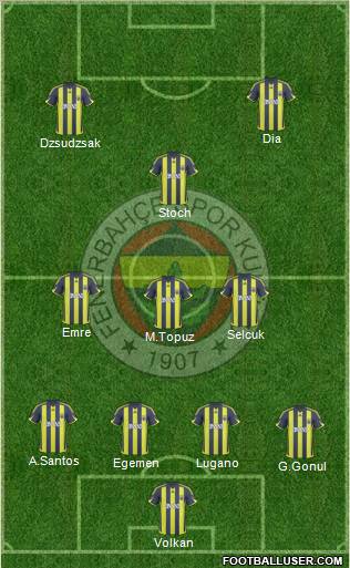 Fenerbahçe SK Formation 2010