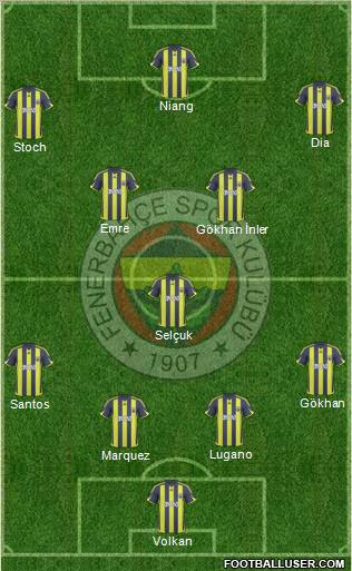Fenerbahçe SK Formation 2010