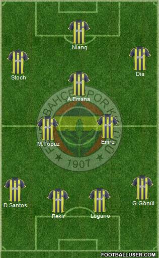 Fenerbahçe SK Formation 2010