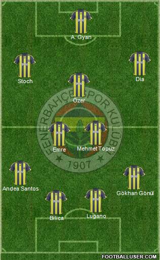 Fenerbahçe SK Formation 2010