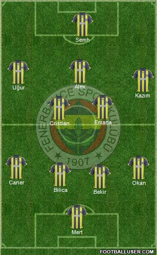 Fenerbahçe SK Formation 2010