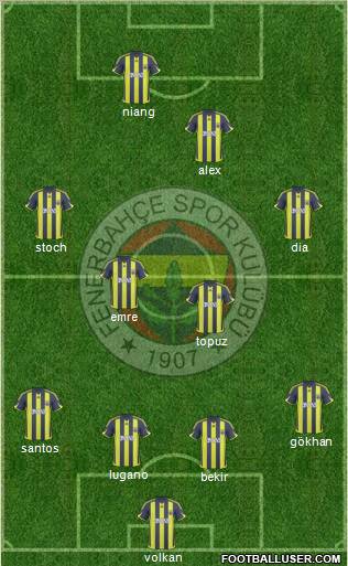 Fenerbahçe SK Formation 2010