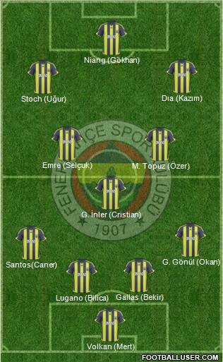 Fenerbahçe SK Formation 2010
