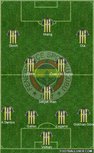 Fenerbahçe SK Formation 2010