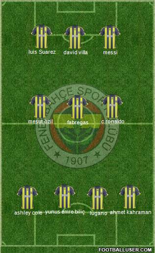 Fenerbahçe SK Formation 2010