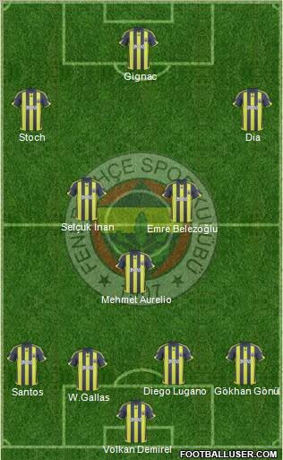 Fenerbahçe SK Formation 2010