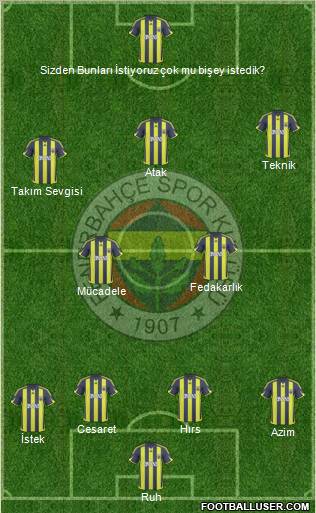 Fenerbahçe SK Formation 2010