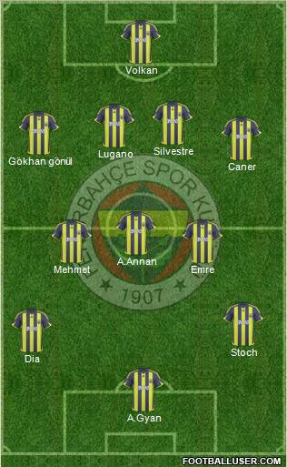 Fenerbahçe SK Formation 2010