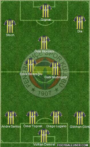 Fenerbahçe SK Formation 2010