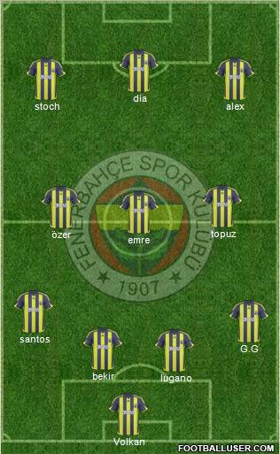 Fenerbahçe SK Formation 2010