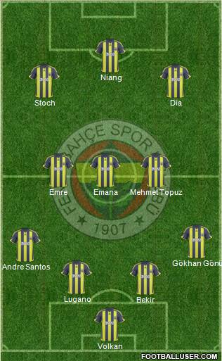 Fenerbahçe SK Formation 2010