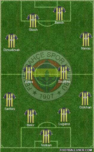 Fenerbahçe SK Formation 2010