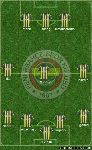 Fenerbahçe SK Formation 2010