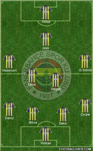 Fenerbahçe SK Formation 2010