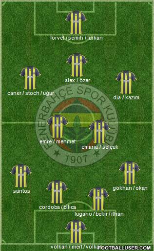 Fenerbahçe SK Formation 2010
