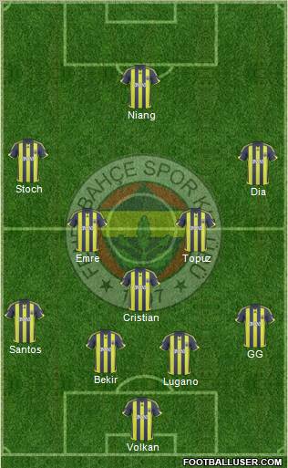 Fenerbahçe SK Formation 2010