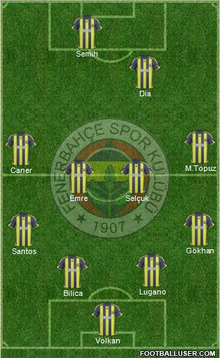 Fenerbahçe SK Formation 2010