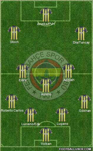 Fenerbahçe SK Formation 2010