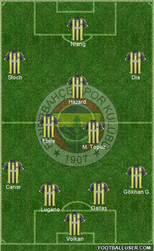 Fenerbahçe SK Formation 2010