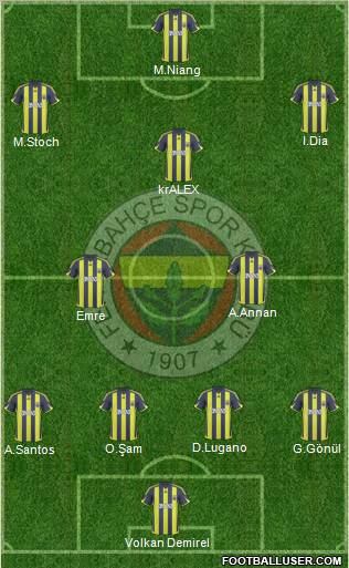 Fenerbahçe SK Formation 2010