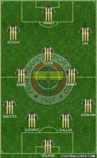 Fenerbahçe SK Formation 2010