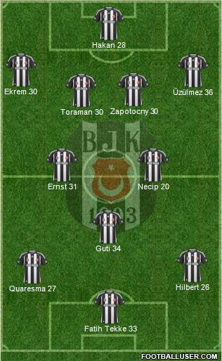 Besiktas JK Formation 2010